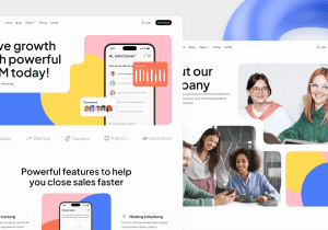 King pro Sass Landing theme Support 12m